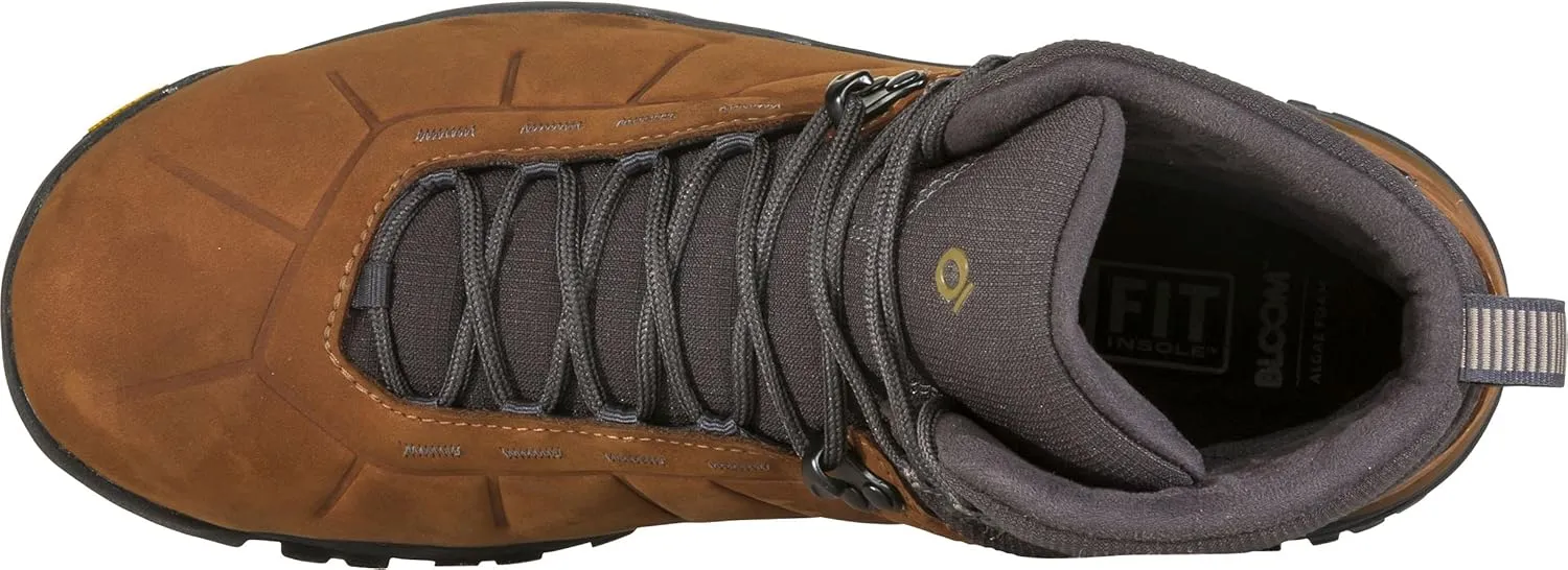 Oboz Andesite Mid Insulated B-Dry Hiking Boot - Men's