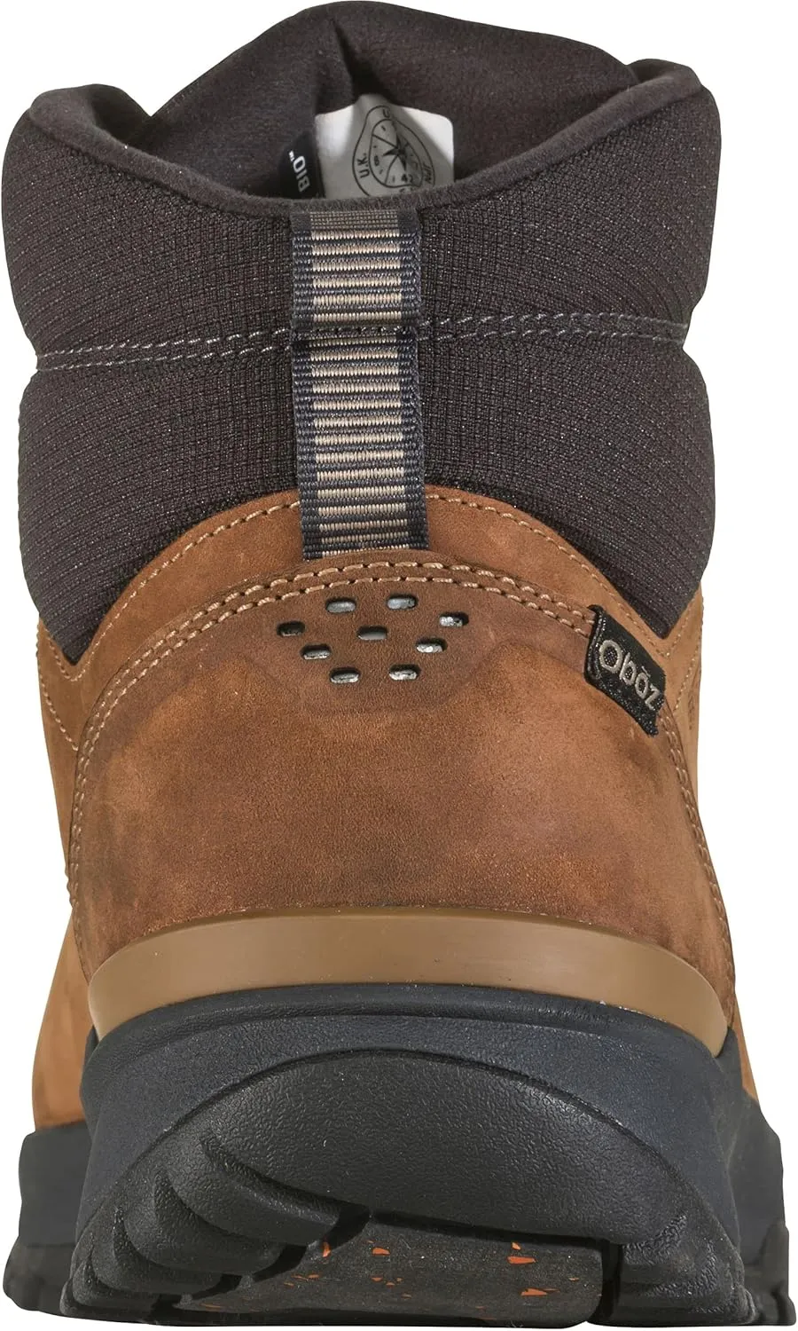 Oboz Andesite Mid Insulated B-Dry Hiking Boot - Men's